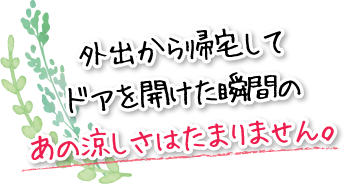 玄関を開けた瞬間から空気が心地いいです！